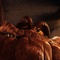 chasseurs de dragons 04 - Chasseurs de dragons - Chasseurs de dragons 