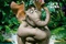 Affiche du film Horton