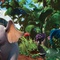horton 14 - Horton - Horton 