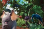 horton 14 - Horton