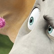 horton 5 - Horton