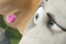 horton 5 - Horton
