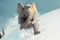 horton 7 - Horton