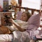 abigail breslin - L'Ile de Nim 