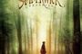 Affiche du film Les Chroniques de Spiderwick