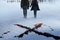 xfiles213 - The X-Files: Régénération