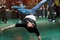 robert hoffman 2 - Sexy Dance 2