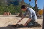 jonathan tucker 5 - Les Ruines