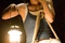 laura ramsey 3 - Les Ruines