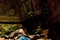shawn ashmore 2 - Les Ruines