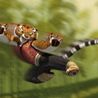 tigre - Kung Fu Panda