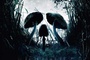 Affiche du film Shrooms
