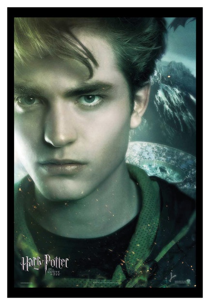affiche c  dric digory