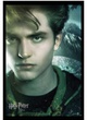 affiche c  dric digory