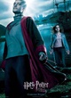 affiche du film harry potter viktor et hermione