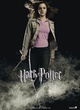 affiche du film hermione