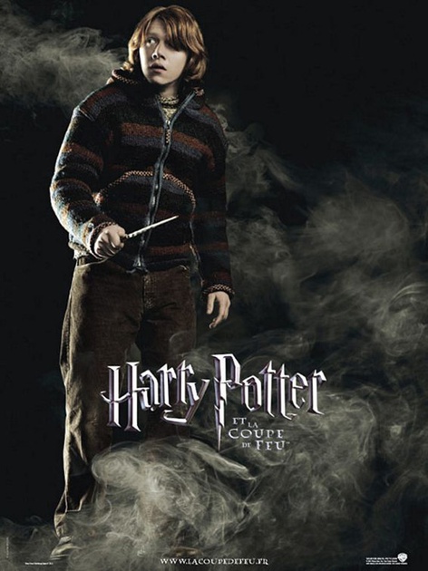 affiche du film ron