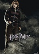 affiche du film ron