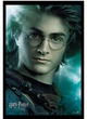 affiche harry potter