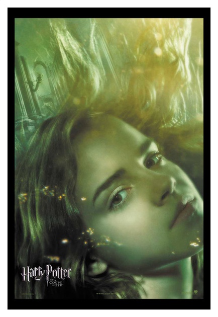 affiche hermione granger