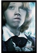 affiche ron weasley