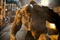 hulk 6 - L'Incroyable Hulk