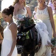 amanda seyfried rachel mcdowall
