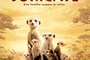 Affiche du film La Famille Suricate