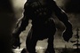 affiche promo de wolfman