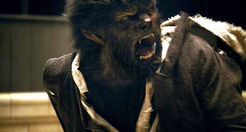 benicio del toro dans wolfman