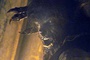 benicio del toro en wolfman