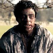 benicio del toro sale
