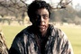 benicio del toro sale