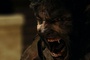 la transformation de benicio del toro en loup garou