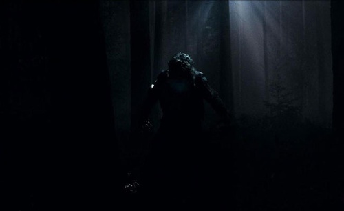 le loup garou dans les bois