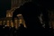 le loup garou en pleine ville