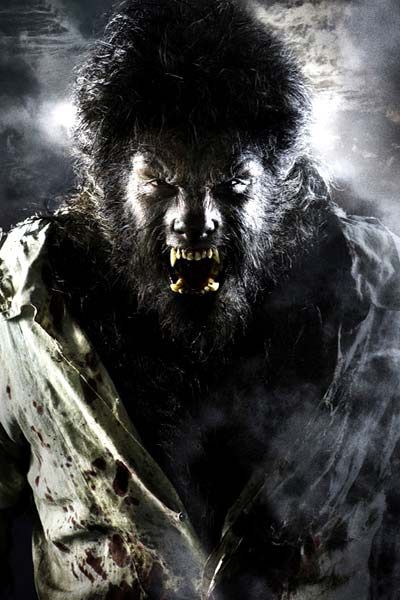 photo de wolfman