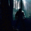 wolfman dans les bois