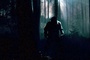wolfman dans les bois