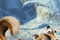ice age dawn of the dinosaurs 2