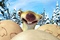 sid 3