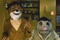 photo 10 du film fantastique maiter renard