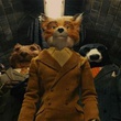 photo 3 du dessin animé fantactique maitre renard