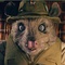 photo 5 du dessin animé fantactique maitre renard - Fantastique Maître Renard 