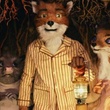 photo du dessin animé fantactique maitre renard