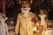 photo du dessin animé fantactique maitre renard
