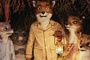 photo du dessin animé fantactique maitre renard