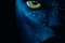 affiche francaise du film avatar