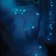 avatar homme