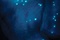 avatar homme